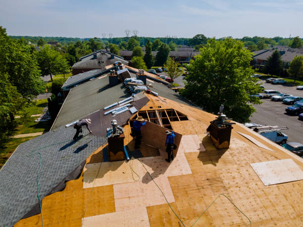 Best Roof Repair Services  in White Sulphur Springs, WV