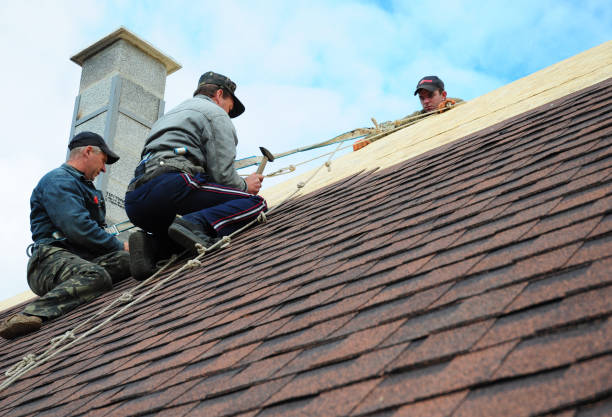 Best Metal Roofing Contractor  in White Sulphur Springs, WV